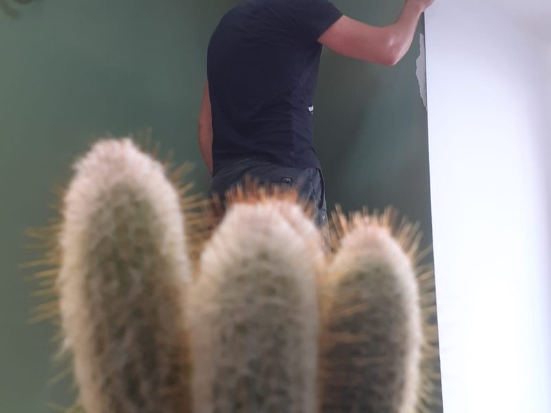 Novi prostor Županijske udruge7